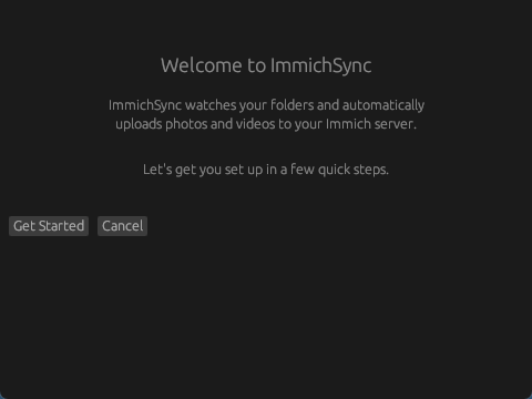 ImmichSyncの初回セットアップ開始画面