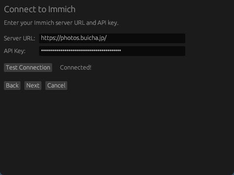 ImmichSyncでぶいちゃフォトのServer URLとAPIキーを入力した画面